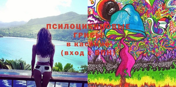 стаф Протвино