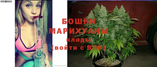 сатива Пролетарск