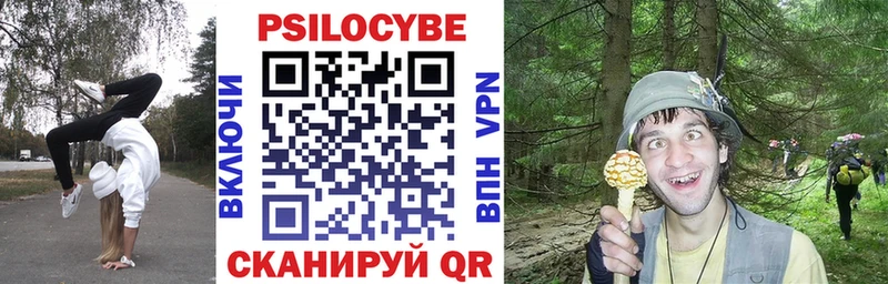 купить закладку  Нарьян-Мар  Галлюциногенные грибы Psilocybine cubensis 