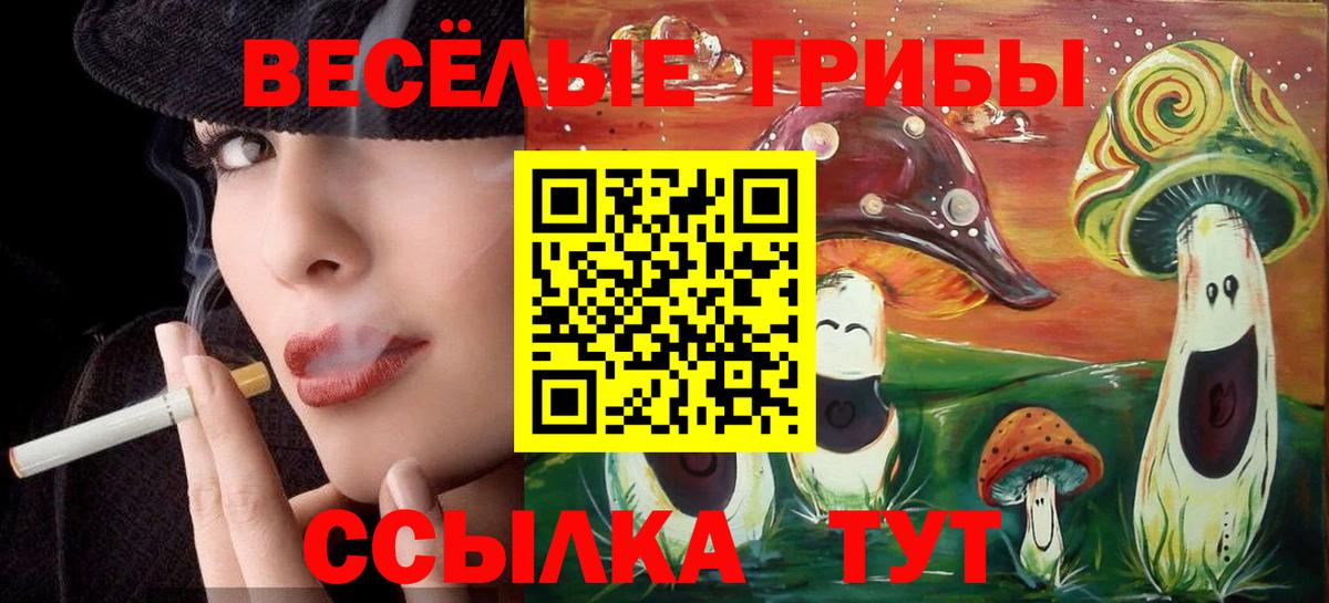 Псилоцибиновые грибы Psilocybe Нарьян-Мар